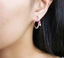 Brincos Encanto Rubi