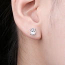 Brincos Safira Neve Prata 925